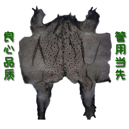 优质天然高效蟾衣