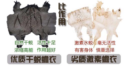 如何选择好蟾衣?您踩坑了吗? 如何选择好蟾衣?您踩坑了吗?