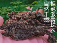 优质天然浓缩蟾衣