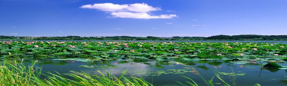 天然原料基地