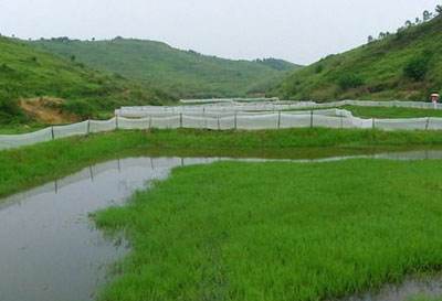 天然原料基地