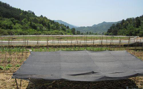 天然原料基地