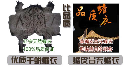 1-4.jpg