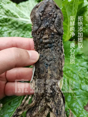 微信图片_20221130210500.jpg