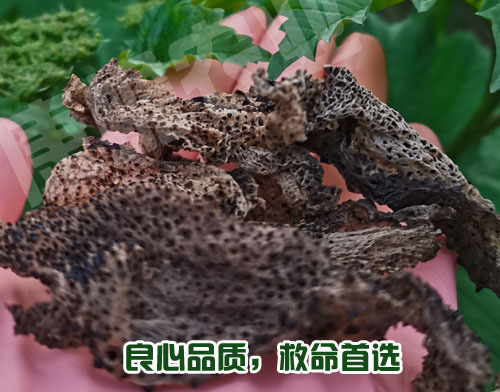 用不用蟾衣，你听谁的？